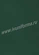 Расцветка 9