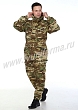 Расцветка 2